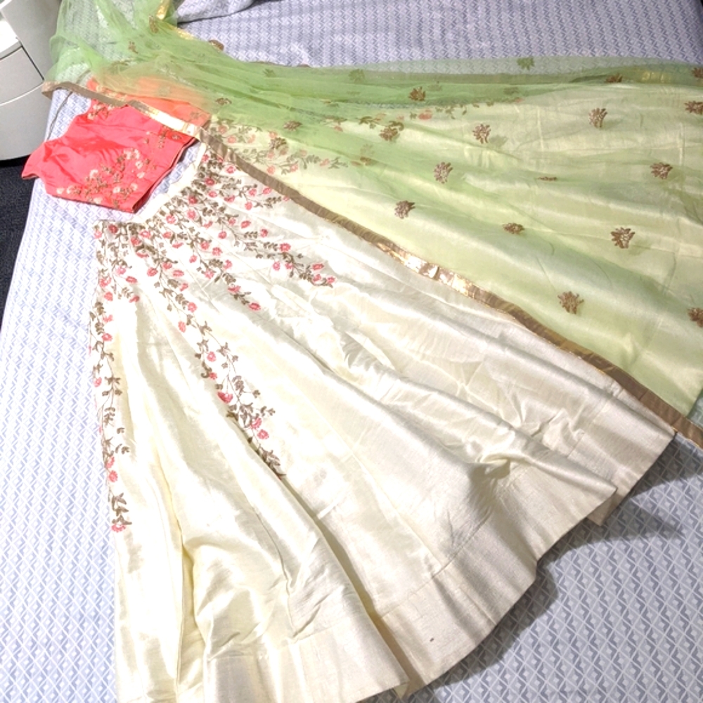 Beautiful Indian lehenga -like new!